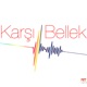 Karşı Bellek