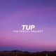 The Unreal Project 