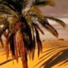 La voz del oasis