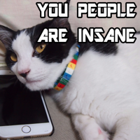 You People Are Insane podcast