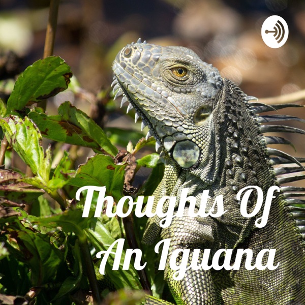 Thoughts Of An Iguana