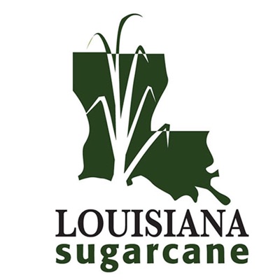 Louisiana Sugarcane News Louisiana Sugarcane News