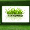 The Talking Hedge Podcast artwork