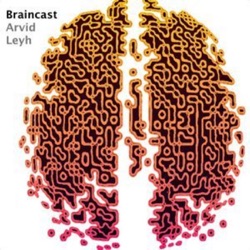 Braincast 348 – Menschwerdung in der Küche