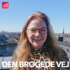 Den Brogede Vej artwork