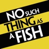 No Such Thing As A Fish artwork
