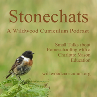 Stonechats from Wildwood Curriculum podcast