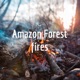 Amazon Forest fires