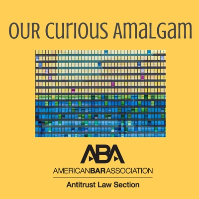 Our Curious Amalgam:American Bar Association