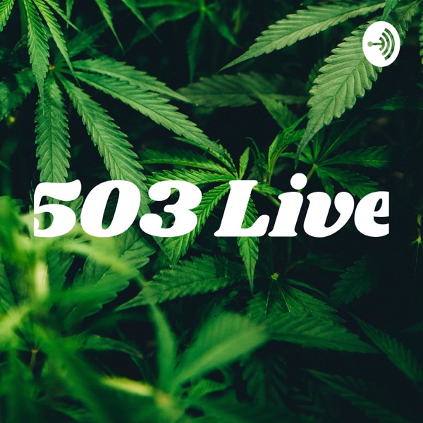 503 Live Artwork