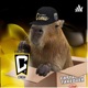 Capybara Takeover