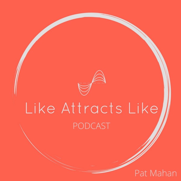 The Like Attracts Like Podcast Artwork