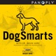 DogSmarts: Coming Soon!