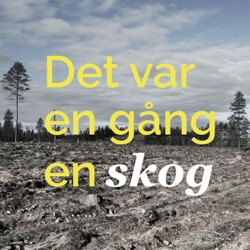 Det var en gång en skog