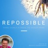 Repossible artwork