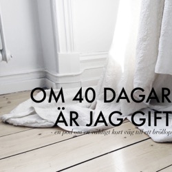 Om 40 dagar är jag gift - 8 - Att träffa prästen