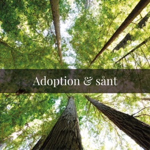 Adoption & sånt