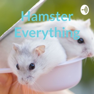 Hamster Everything