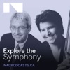 Explore the Symphony artwork