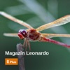 Magazín Leonardo