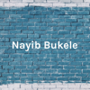 Nayib Bukele - Primer Presidente Milenial - Nayib Bukele - Primer Presidente Milenial