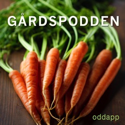 Gårdspodden