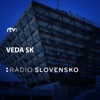 Veda SK