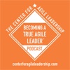 Becoming A True Agile Leader(tm) artwork