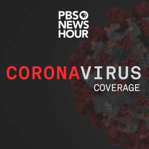 Two middle schoolers, their mom and their teacher on what it's like to learn in the pandemic