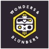 Wonders & Blunders artwork