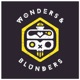 Wonders & Blunders