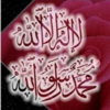 Islam - Quran multi-language translation