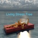 Free Audio Book: The Living Stress Free Bible - Introduction