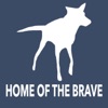 Home of the Brave artwork