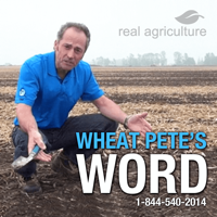 Wheat Pete's Word podcast