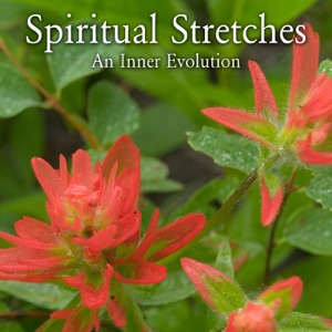 Episode 163, Grounding in the Physical