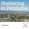 Sheltering in Petaluma artwork