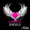 Animal Angels on Pet Life Radio (PetLifeRadio.com) artwork