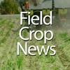 Field Crop News artwork