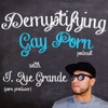 Demystifying Gay Porn artwork