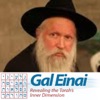 Gal Einal with Rabbi Yiztchak Ginsburgh artwork