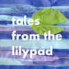 Bedtime Stories Podcast Fairytales and Folk Tales from the Lilypad for kids - Lily, a frog