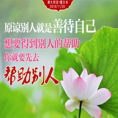 2011年东方台节目 2011年东方台节目