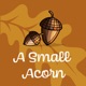 A Small Acorn