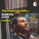 The Invaluable, Unauthorized Marvin Gaye Sexual Healing Tour Content