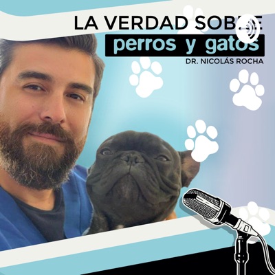 LA VERDAD SOBRE PERROS Y GATOS LA VERDAD SOBRE PERROS Y GATOS