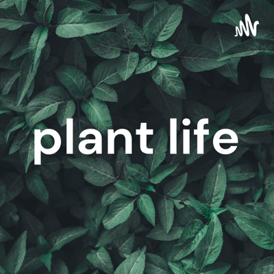 plant life