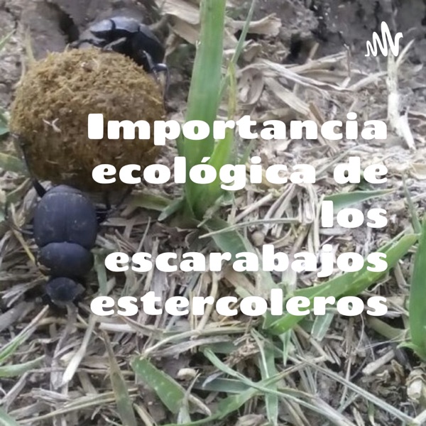 Importancia ecológica de los escarabajos estercoleros