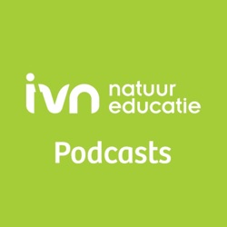 Mindful in de natuur #2. Kijk naar de natuur