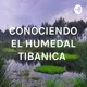 CONOCIENDO EL HUMEDAL TIBANICA 